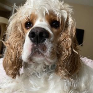 Meet your Posher, Daniela